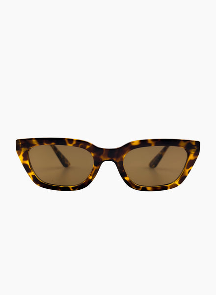 nove-tortoiseshell-  display picture 2
