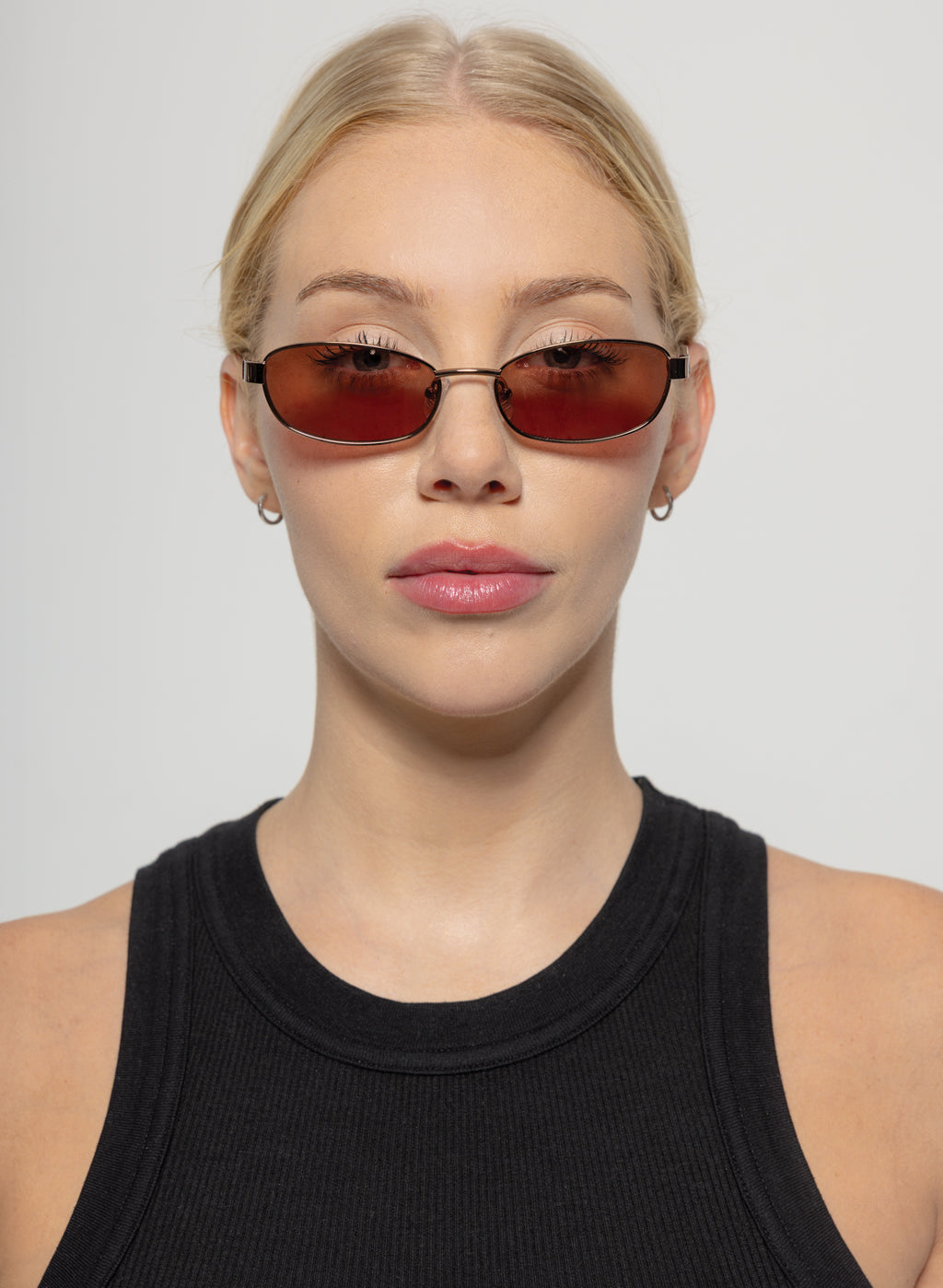 Papillon - Chocolate