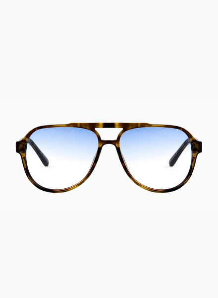 stevie-tortoiseshell-  display picture 2