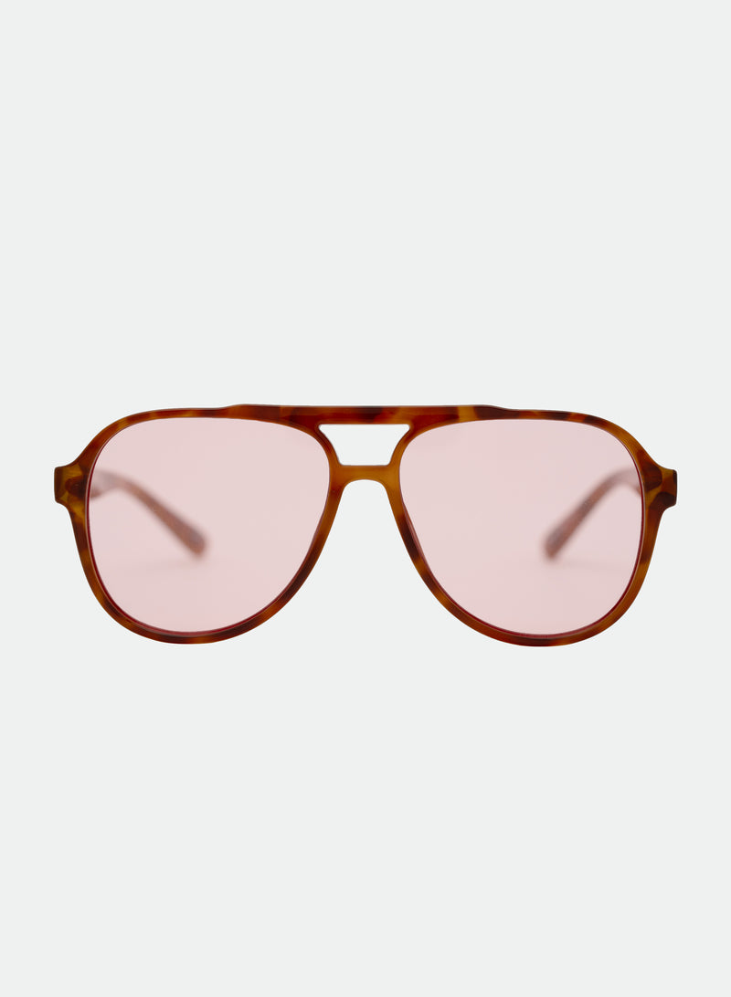 Stevie - Orange Tortoiseshell